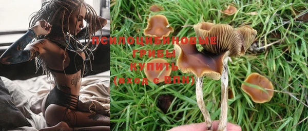 не бодяженный Магадан
